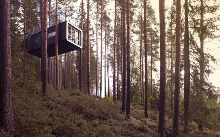 Tree Hotel in Harads Sweden