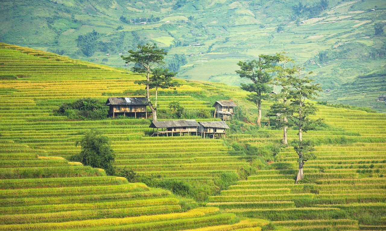 Sapa Terraces