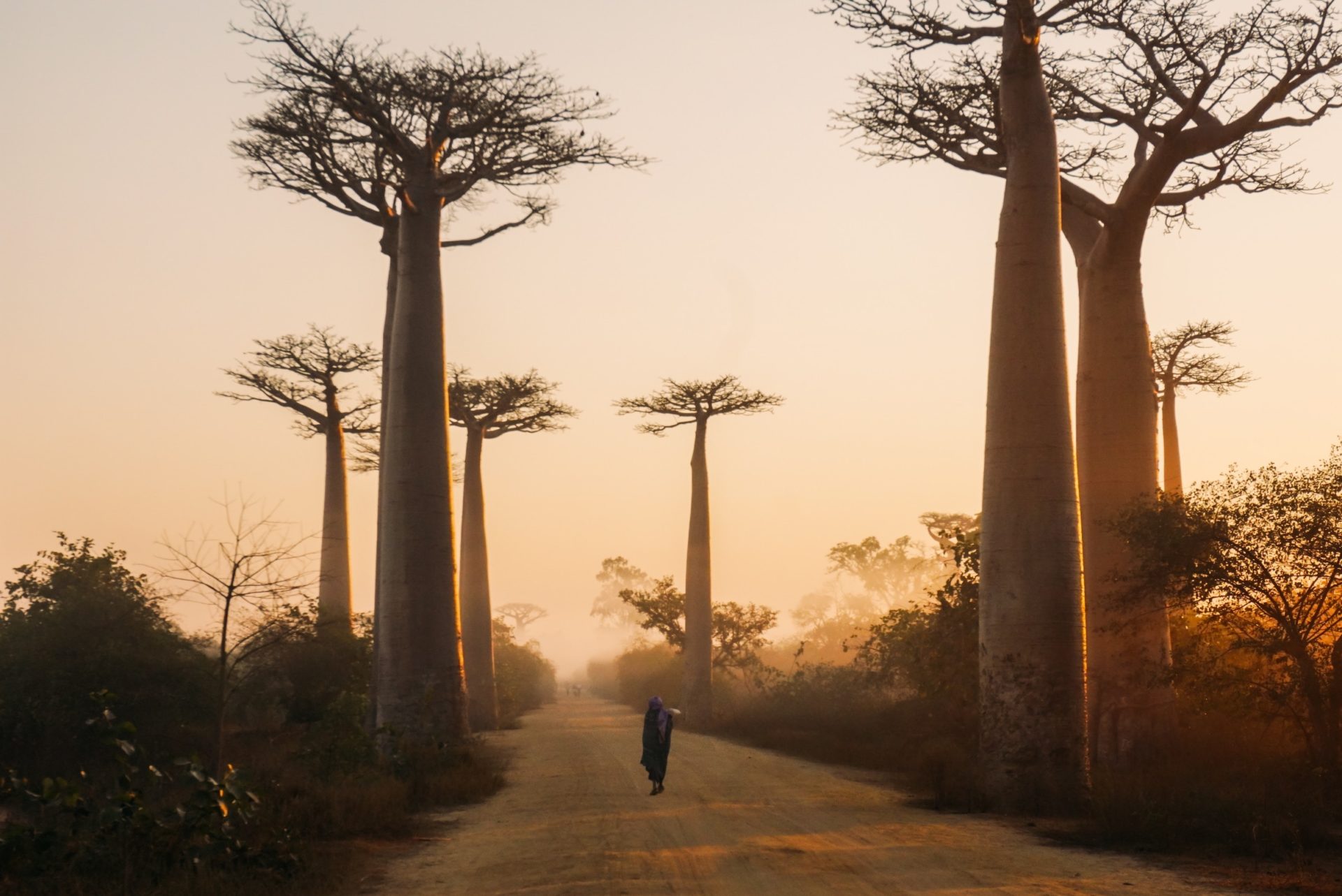 Africa's Rich Tapestry of Landscapes