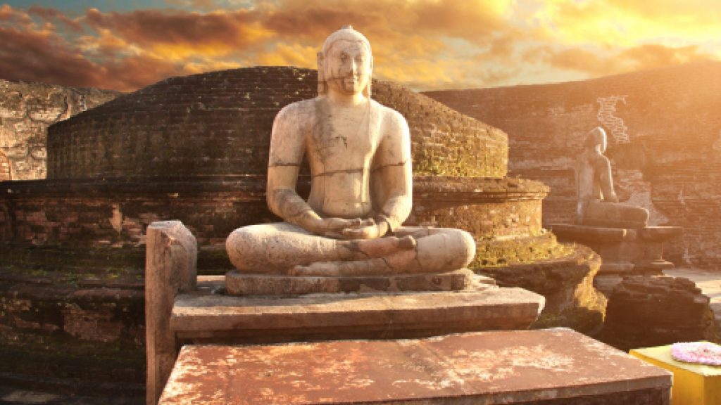 Sights, Stupas, and Safaris