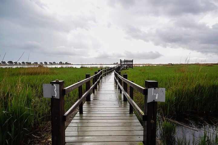 Ecotourism Bird Watching Tour Ebro Delta