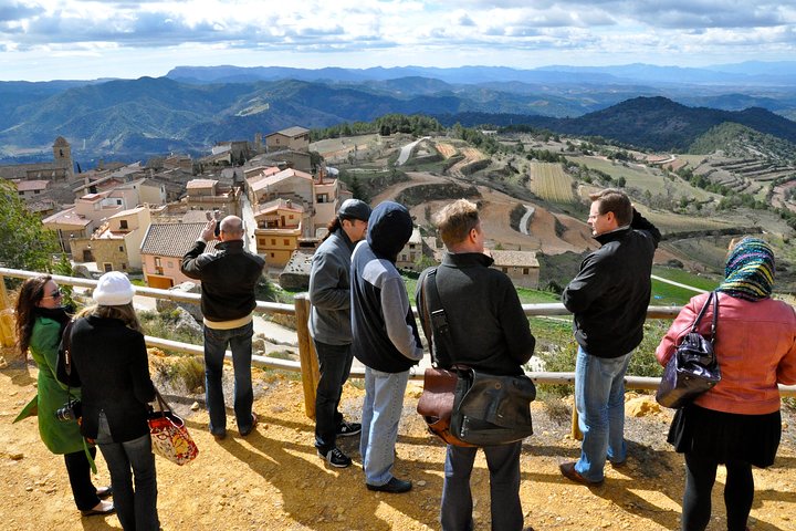 Priorat Wineries Tour