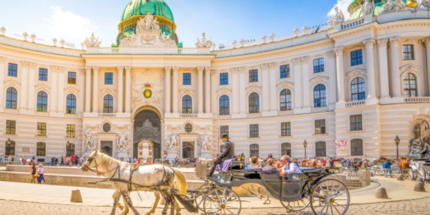 Horse-drawn Carriage Outside the Hofburg