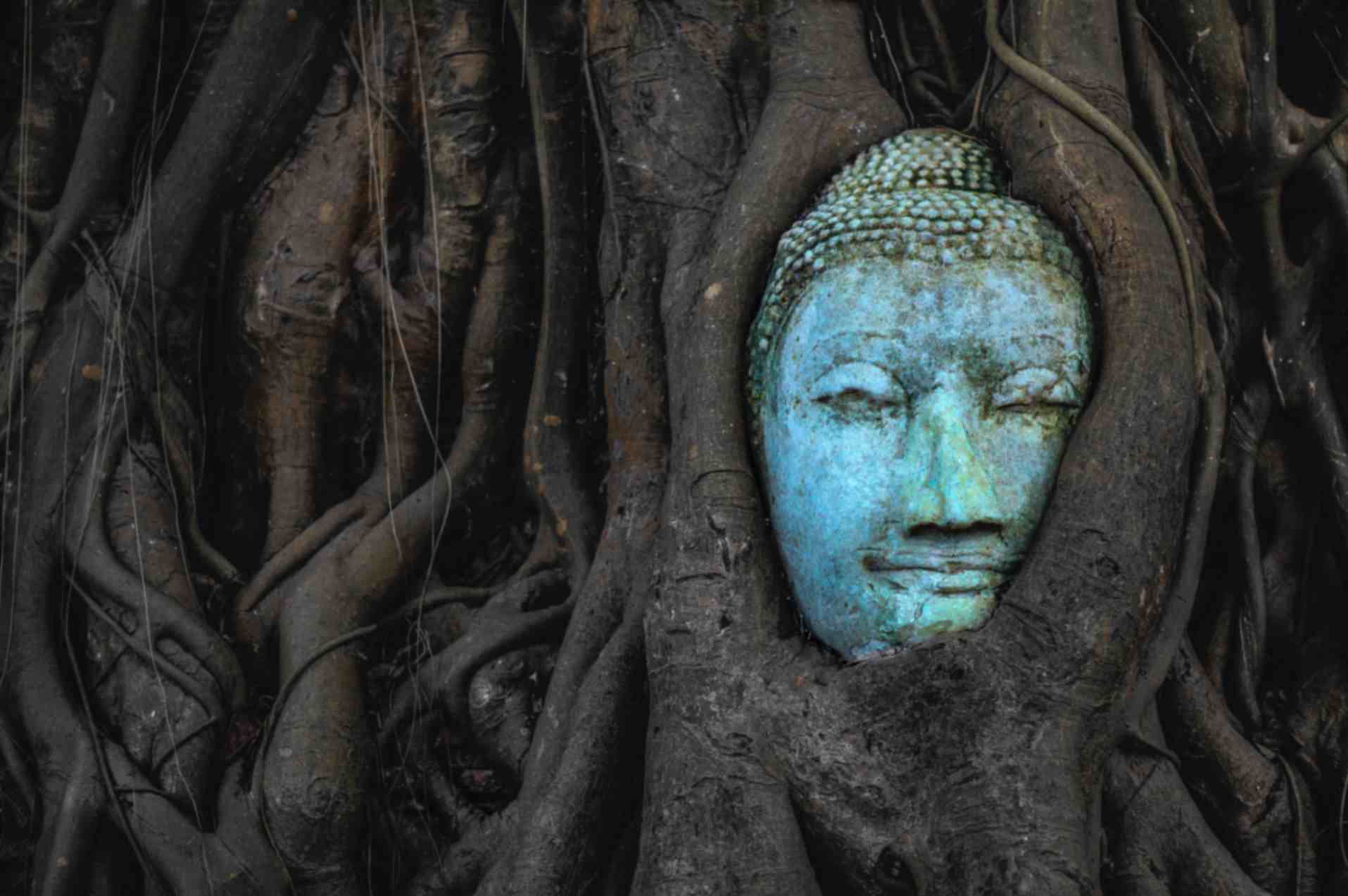 ayutthaya-historical-ruin-thailand Buddha face in Ayutthaya's historical ruins