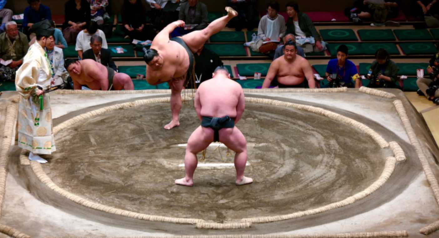 Attend a sumo wrestling match