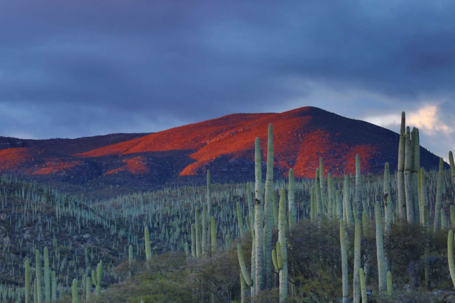 Everything You Need To Know About Mexico