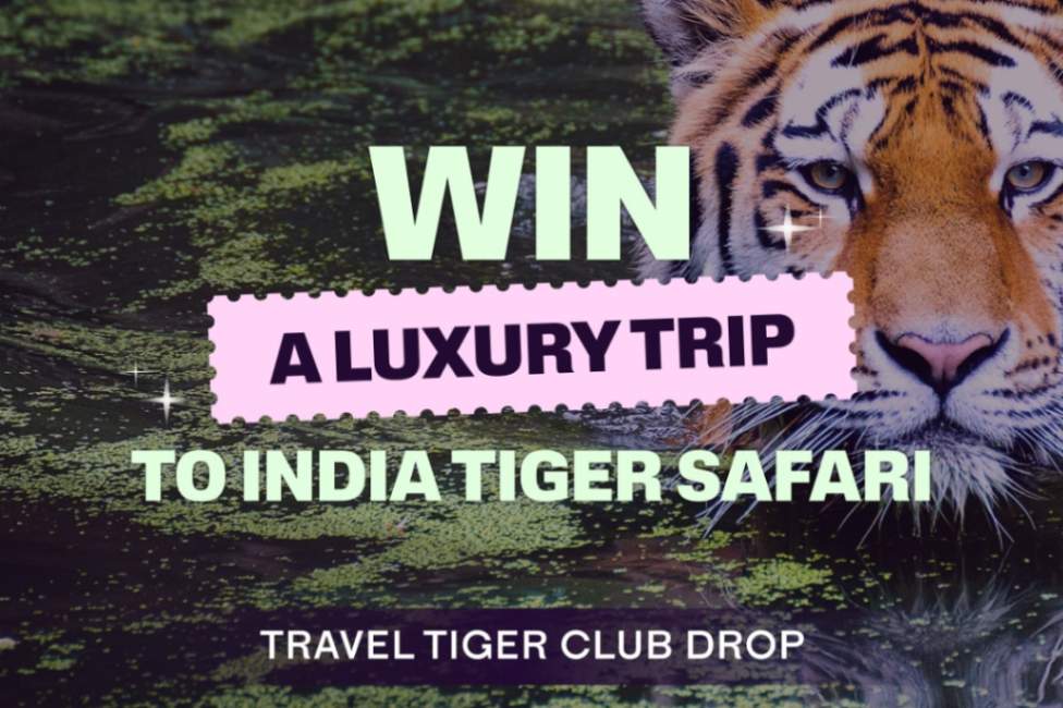 Luxury India Tiger Safari Holiday