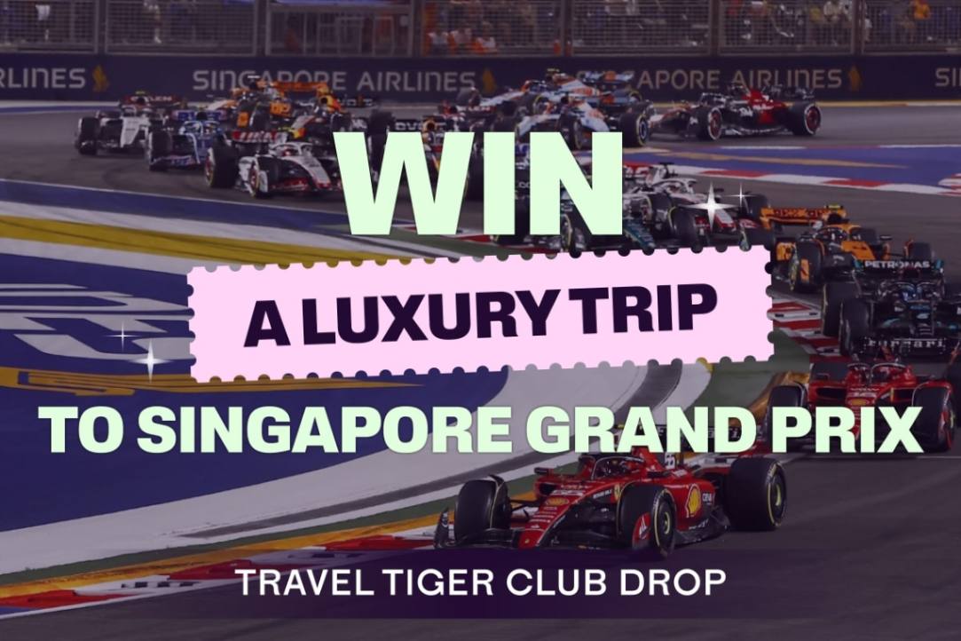 Singapore Grand Prix Experience