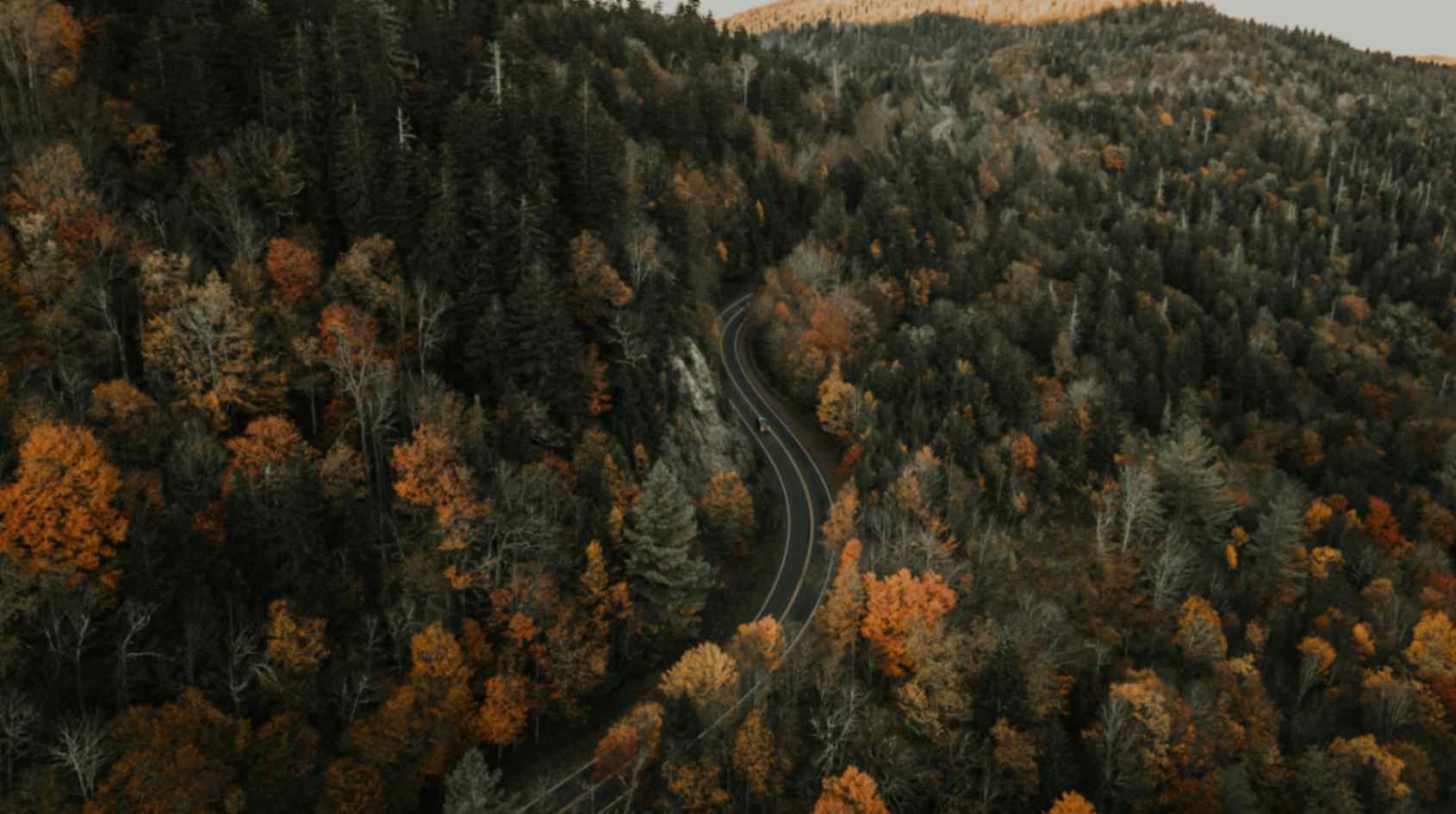Autumn on the Blue Ridge Parkway in North Carolina, USA