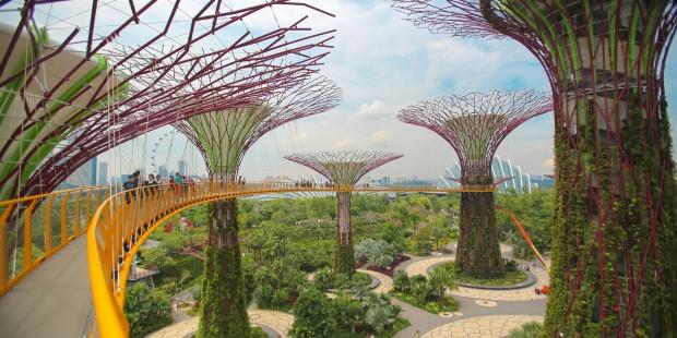 Singapore Full-Day Tours