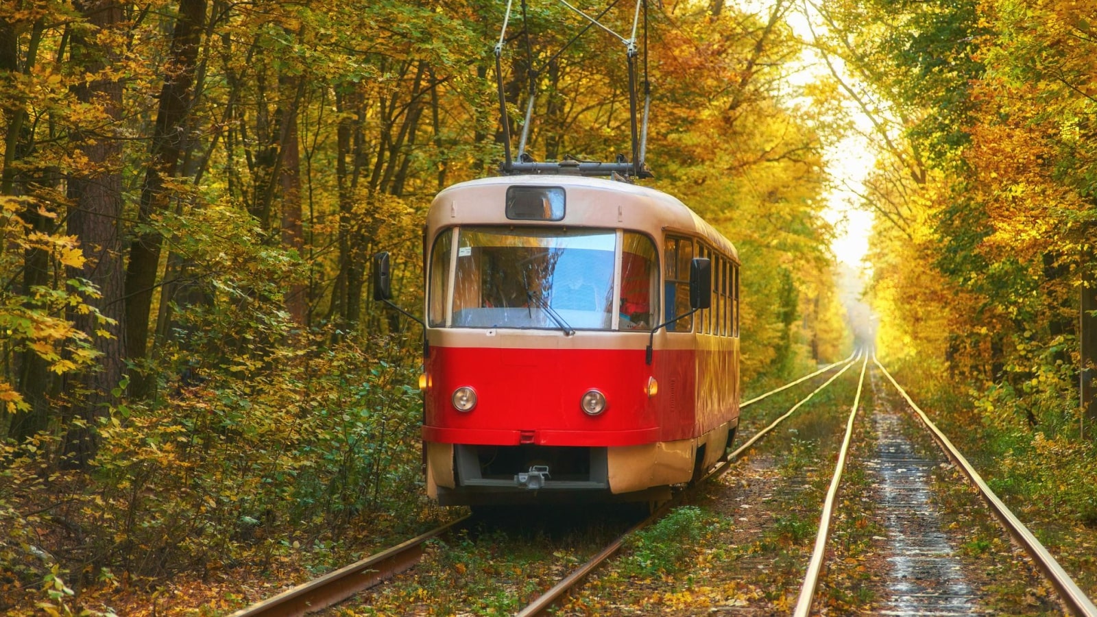 King Charles and Sustainable Travel What His Initiatives Mean for the Future of Tourism