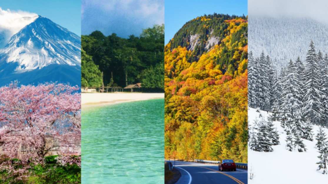 Where to Travel by Month: The Ultimate Guide to Year-Round Destinations