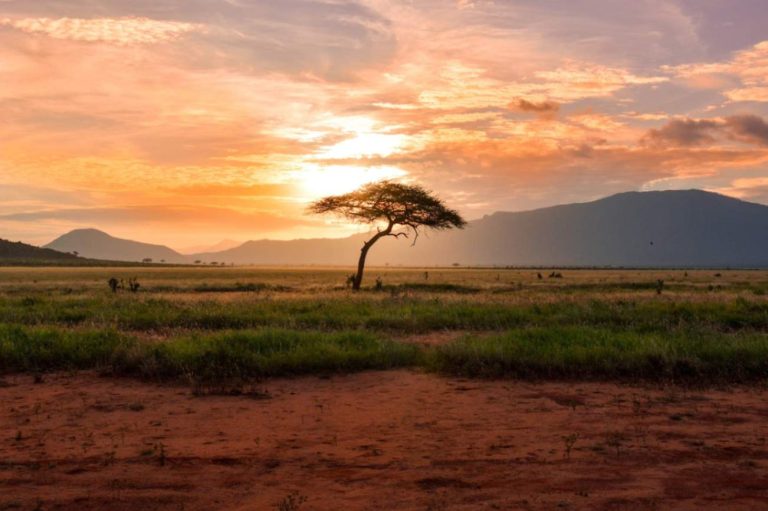 Where to Travel in July: Best Destinations for Every Type of Trip