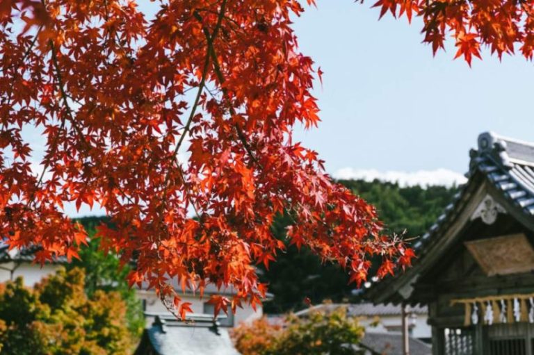 Where to Go in September: The Ultimate Guide to Shoulder-Season Travel