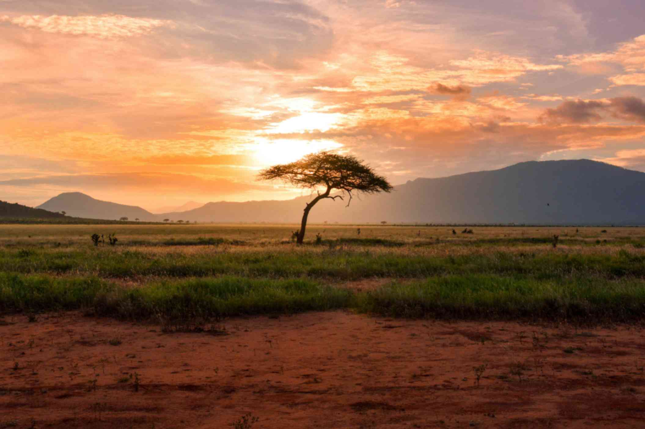 South Africa - Best Long-Haul & Adventure Destinations in May