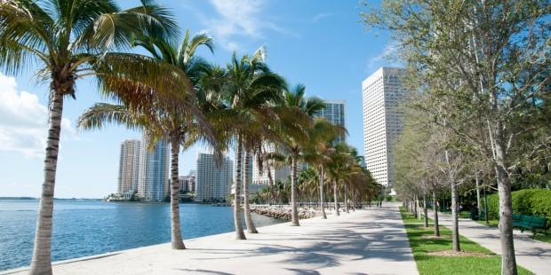 Miami Sightseeing Tours