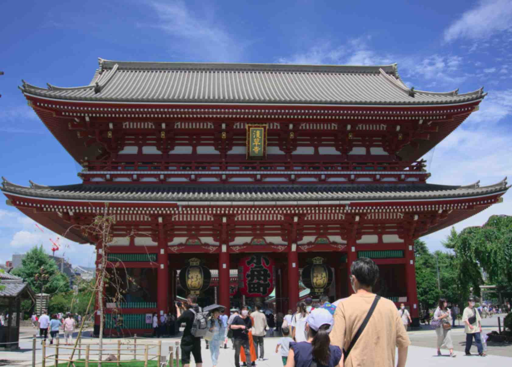Meiji Shrine and the Forest of Harajuku