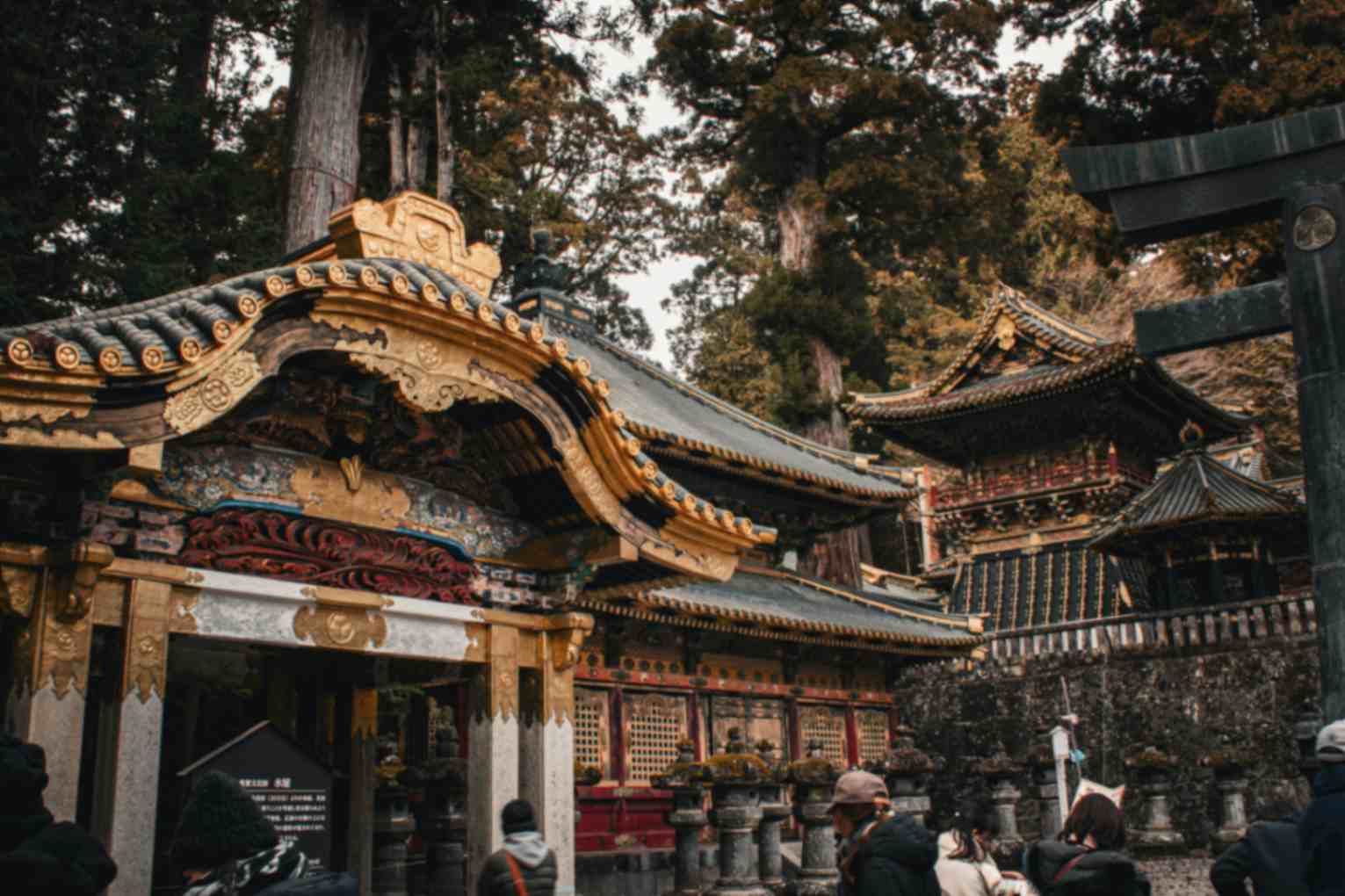 Nikko