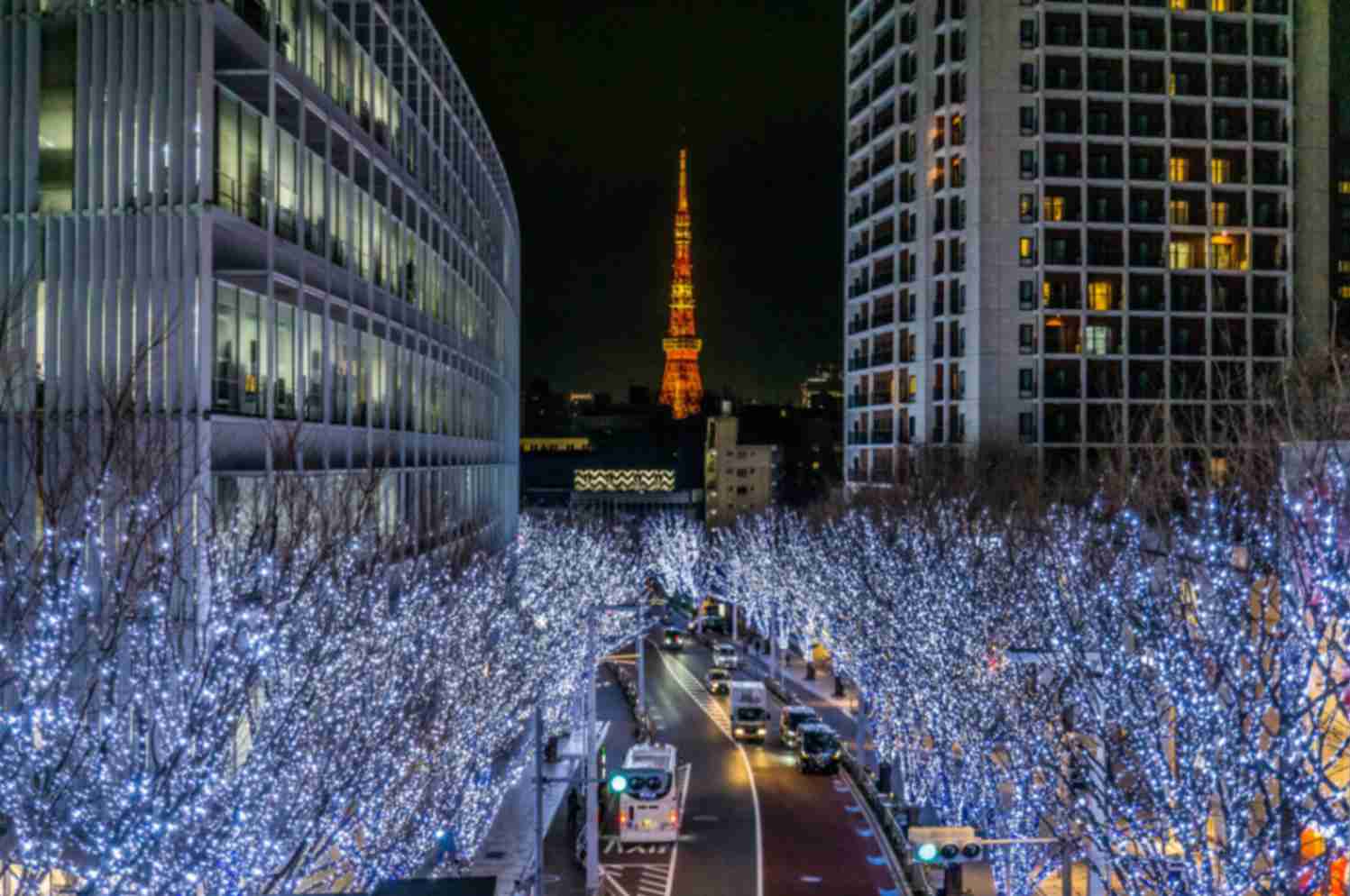 Tokyo in December: Illuminations, Clear Days and Early Winter