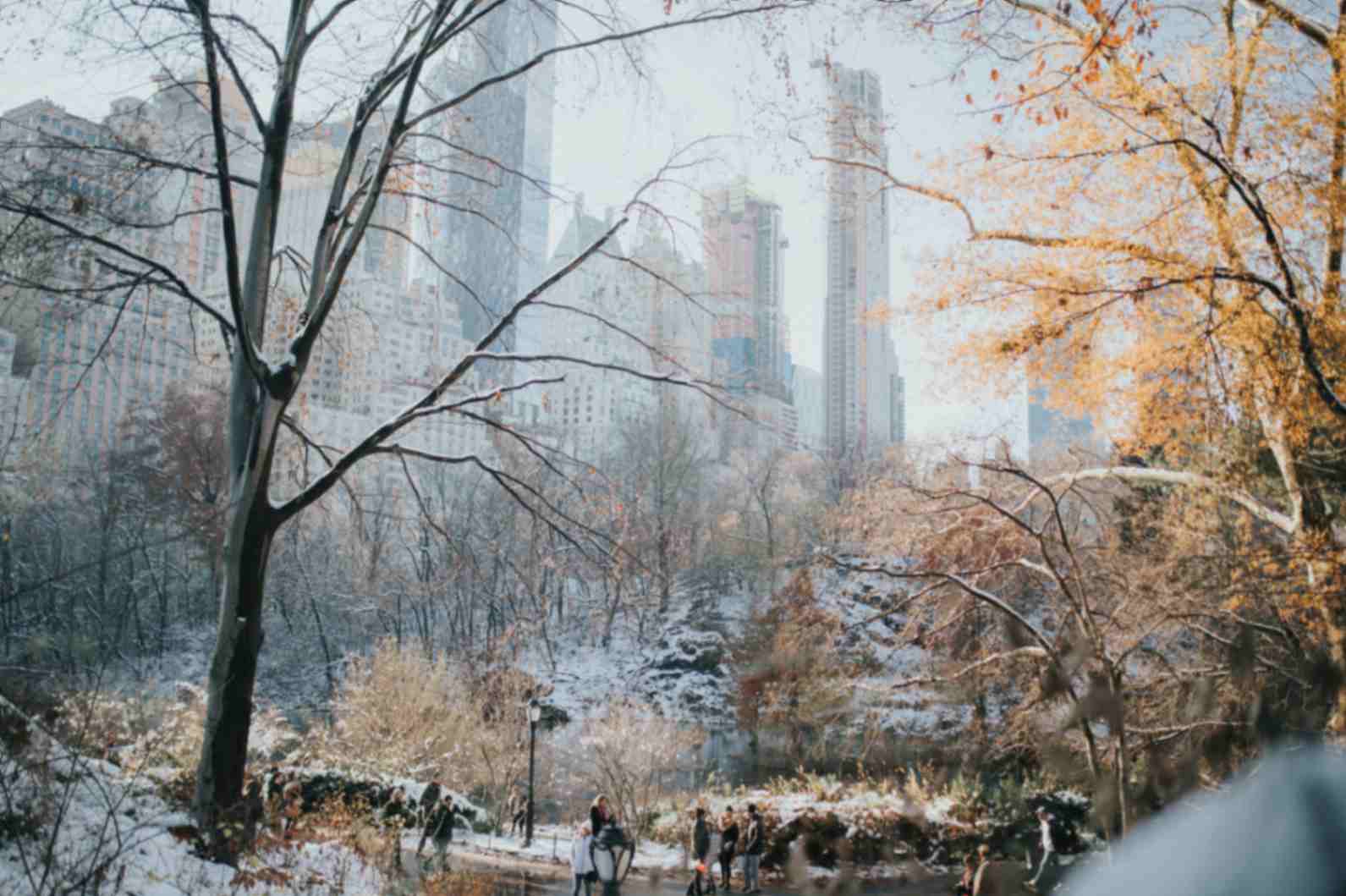 New York in January