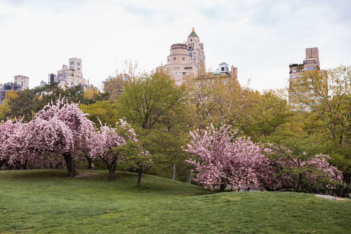 New York in April
